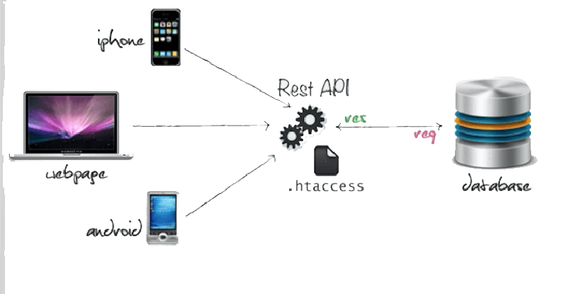 Featured image of post RESTful Routing URL Naming Conventions